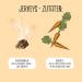 Vegdog Jerkeys Vegan Dog Snacks - Grain-Free Carrots & Potatoes Allergy-Friendly Smoked Over Beech Wood 9 x 80g Pack - Buy Online on GoSupps.com