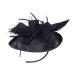 Gogogmee 1pc Mesh Headband Women Headdress Veil Hair Band Female Party Headdress Women Headwear Flower Hair Band Feather Hair Band Hair Band with Veil Party Hair Accessory Female Headband One Size Black