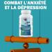 Compl ment alimentaire anti fatigue intense puissant puisement nergie booster - Contre l'anxi t l'angoisse anti stress examen m moire concentration focus 60 g lules avec ashwagandha KSM-66 - Buy Online on GoSupps.com