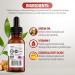 Dr. Robaina Pure Moroccan Argan Oil 2 fl oz Cold-Pressed Small-Batch & Nitrogen-Sealed Fast-Absorbing Hair & Skin Moisturizer Anti-Frizz Serum Beard & Nail Treatment Hexane-Free Made in USA 1 Unit - Buy Online on GoSupps.com