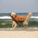 Emust Dog Swimming Vest - Reflective & Adjustable Improved Buoyancy Rescue Handle 2XL New Orange - Buy Online on GoSupps.com