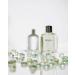 iberty Luxury Rebel Perfume Spray for Men (100ml/3.4Oz) Eau De Parfum (EDP) Long Lasting Smell Aromatic notes. Rebel (100ml / 3.4 Oz) - Buy Online on GoSupps.com
