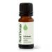 Plant Therapy Dill Weed Essential Oil 10 mL (1/3 oz) 100% Pure Undiluted Therapeutic Grade 0.34 Fl Oz (Pack of 1)