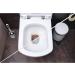 Ambi Pur Fresh & Clean Toilet Block Refill - Tea Tree & Pine - 3 x 55 ML | International Shipping Available - Buy Online on GoSupps.com