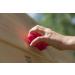 Squirrel Products 20 Extra Large Deluxe Rock Climbing Holds - Mounting Hardware Included - Outdoor Play for Ages 3 - Buy Online on GoSupps.com