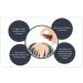 Nio Minoxidil 5% Hair Care Solution - 3x60ml Spray & Pipette Fights Hair Loss & Promotes Growth for Men - Effective Treatment with 50mg Minoxidil/1ml - Buy Online on GoSupps.com