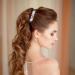 Sparkly Rhinestone Hair Clip - Crystal Hair Barrette for Women - Wedding Bridal Hairpin - Flower Leaf Design - Silver - Buy Online on GoSupps.com