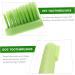ORFOFE 1 Set Pet Toothbrush Kitten Toothbrushes Dog Toothbrush for Small Dogs Dog Toothpaste Pets Pp Green - Buy Online on GoSupps.com