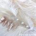 Nail Art Feather Display Stand Feather Nail Art Feather Display Stand Feather Decoration woman 02 One Color - Buy Online on GoSupps.com