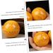 Tovinanna 2-Piece Health Ball Set | Fitness & Massage Balls for Muscle Relief & Acupuncture | International Shipping - Buy Online on GoSupps.com