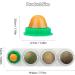 Buy Aucenix Catnip Balls - 4 Natural Dental Toys for Cats & Kittens | Tooth Cleaning & Licking Fun - Buy Online on GoSupps.com