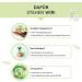 Organic Wheatgrass Powder 100g | 100% Pure German Cultivation | DE- KO-007 - Additive-Free Superfood - Buy Online on GoSupps.com