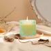 Luxury Scented Candle - Natural Soy Wax Aromatherapy 50-Hour Burn Time Perfect Gift for Women - Cotton Wicked 8.8oz Mixed Fruit Basket - Buy Online on GoSupps.com