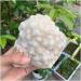 Natural Crystal Rough Original Natural Stone Feng Shui Home Decor Rock Crystal Cluster - Buy Online on GoSupps.com