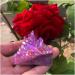 GONCAY Rare Purple Flame Ring Quartz Specimen - Unique Clusters (2pcs) | International Shipping - Buy Online on GoSupps.com