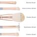 VOCOSTE Sky Blue Makeup Brush Kit - Travel Retractable Angled Eye Smudge & Defining Brushes Highlight Brush Perfect for International Shipping - Buy Online on GoSupps.com