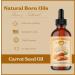 Natural Born Oils Carrot Seed Oil 1 Gallon Organic Cold-Pressed Nutrient-Dense Deep Skin Care Hair Nourishment - Buy Online on GoSupps.com