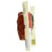 EPIC PROVISIONS Chicken Sriracha Bar - 1.3 OZ | High-Protein Snack - Buy Online on GoSupps.com