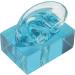 Acrylic Blue Transparent Right Ear Display Model - Waterproof Fake Ear for Sound Aids - Buy Online on GoSupps.com