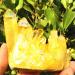 Yellow Aura Quartz Crystal Natural Quartz Cluster Specimen Rough Stones and Minerals Home Decor ZJGIDTEM - Buy Online on GoSupps.com