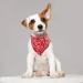 Molain 4 Pcs Cat Collars with Removable Bohemia Bow Tie Bandana Pet Collars Dog Bandana Cat Bandana Adjustable Bandana for Cats Dogs Puppy Pets Cat Accessories(Red Blue Black Pink) 4 Colors Pet Bandana - Buy Online on GoSupps.com