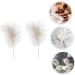 NAMOARLY 2 Pcs Insert Pearl Trim Pearl Decor Beige Decor Ostrich Trim Baking Diy Decor Dessert Inserting Decor Inserting Baking Topper Baking Toppers Insert Card Cake White White 12X5.5CM - Buy Online on GoSupps.com