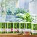 Palais des Th s SENCHA ARIAKE Th vert du Japon Notes Iod es et V g tales Boite M tal 100g - Buy Online on GoSupps.com
