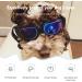 PEDOMUS Small Dog Sunglasses | Adjustable Blue Dog Goggles for Small Breeds - Buy Online on GoSupps.com