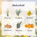 2-Pack Pure Roman Chamomile Essential Oil - Natural Chamomile Oil for Diffusers & Skin Care | 10mL each - Buy Online on GoSupps.com