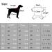 Shop Dog Clothing for Small Dogs | Breathable Cotton T-Shirts & Costumes | XXL Pink Dog Sunscreen Shirts - Buy Online on GoSupps.com