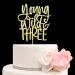 Young Wild & Three Cake Topper Happy 3rd Birthday Cake Decor Boys or Girls Third Birthday Party Decorations Gold Glitter - Buy Online on GoSupps.com