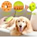 3 In 1 Steamy Cat Brush - Upgraded Multifunctional Cat Steamer Brush for Massage Steam Pet Brush for Removing Tangled and Loose Hair(green1PS) - Buy Online on GoSupps.com
