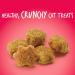 Fruitables Crunchy Cat Treats - Healthy Limited Ingredient Low Calorie Salmon & Cranberry - 2.5oz Pack - Buy Online on GoSupps.com