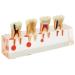 Dental 4-Stage Endodontic Treatment Clear Model for Study Teaching Teeth Model