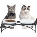 FOREYY Elevated Cat Bowls - Ceramic and Stainless Steel Dishes with Iron Stand for Cats and Small Dogs - 16 Ounces - Dishwasher Safe - Buy Online on GoSupps.com
