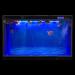 Blue Black Aquarium Background | Fish Tank Wallpaper 2 Sides | 12-24 High | 19.7H x 48L - Buy Online on GoSupps.com