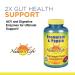 Nature's Life Apple Cider Vinegar 250mg â€“ 250 Vegetarian Tablets for Wellness - Buy Online on GoSupps.com