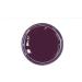 Kaps Shoe Care Cream - Intensive Leather Care for 70 Colours - Cardinal 126 - Buy Online on GoSupps.com