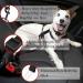 Dog Harness Seat Belt Dog Seat Buckle Clip Car Seat Belt Adjustable Car Harness Restraint Attachment Clip Pet Seat Belt Pet Travel Accessories for Dogs Cats - Buy Online on GoSupps.com