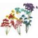 6pcs Tiny Natural Real Pressed Dried Flower for DIY Craft Jewelry Making Handmade Resin Ornament (Multi)