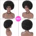 Short Afro Wig for Black Women - Big Bouncy Kinky Curly 70's Style - Premium Synthetic Natural Looking Soft Hair in 1B Black - Buy Online on GoSupps.com