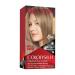 Revlon Colorsilk Beautiful Color Dark Ash Blonde 56 Dark Ash Blonde 1 Count (Pack of 1)