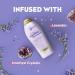 OGX Calming + Amethyst & Lavender Body Scrub & Wash Gently Exfoliating 19.5 fl oz - Buy Online on GoSupps.com