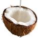500ml Food Grade Liquid Coconut MCT Oil for Dogs - 60/40 Ratio - Buy Online on GoSupps.com