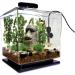 Buy PULACO 25W Betta Aquarium Heater with Thermometer - Ideal for Fish Tanks Under 6 Gallons - Buy Online on GoSupps.com