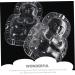 TEHAUX 4 Pcs Vegetable Shaping Mold Fruit Computer Accessories Practical Forming Mold Pumpkin Stereotypes Transparentx2pcs 10x7cmx2pcs - Buy Online on GoSupps.com