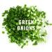 Freeze Dried Chopped Green Onions 2oz - All Natural, Non-GMO, Gluten Free (Pack of 1) - Buy Online on GoSupps.com