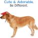 Pawaboo X-Large Dog Baseball Cap - Adjustable Sun Protection Hat with Ear Holes for Puppies - Red Pet Accessory - Buy Online on GoSupps.com