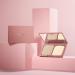 Oil Control Pressed Setting Powder - 12H Longlasting Waterproof Translucent Makeup Compact | 01 Light 0.28oz - Perfect for All Skin Types - Buy Online on GoSupps.com
