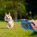 Edipets Retractable Dog Leash - Extendable 8m Flexible Band for Safe Walks | Blue Color - Buy Online on GoSupps.com